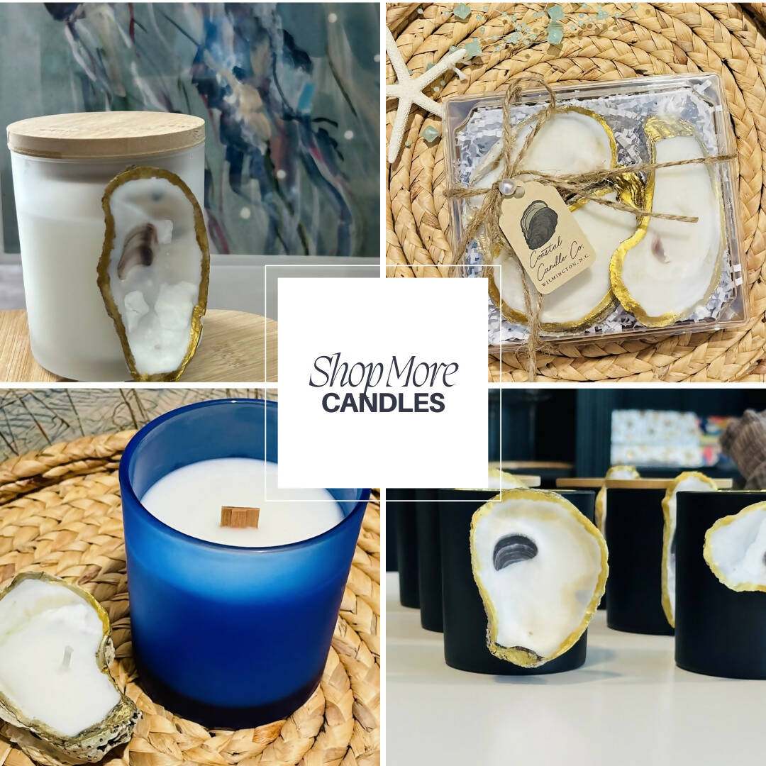 Oyster Shell Tea Light Gift Set